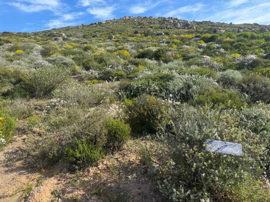 0 Bedroom Property for Sale in St Helena Bay Western Cape